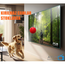 49 İnç 124 Ekran Tv Ekran Koruyucu 49 İnç 124 Ekran Tv Ekran Koruyucu